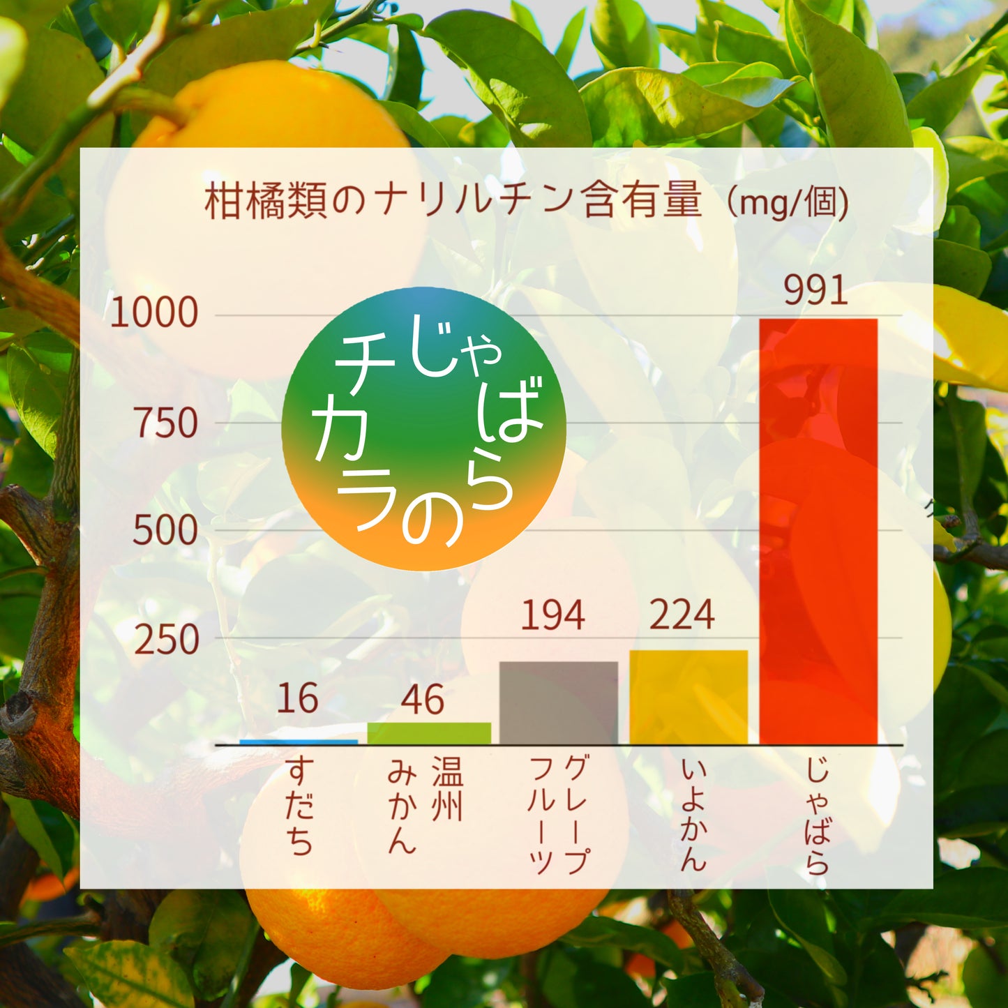 濃厚じゃばら果汁100%